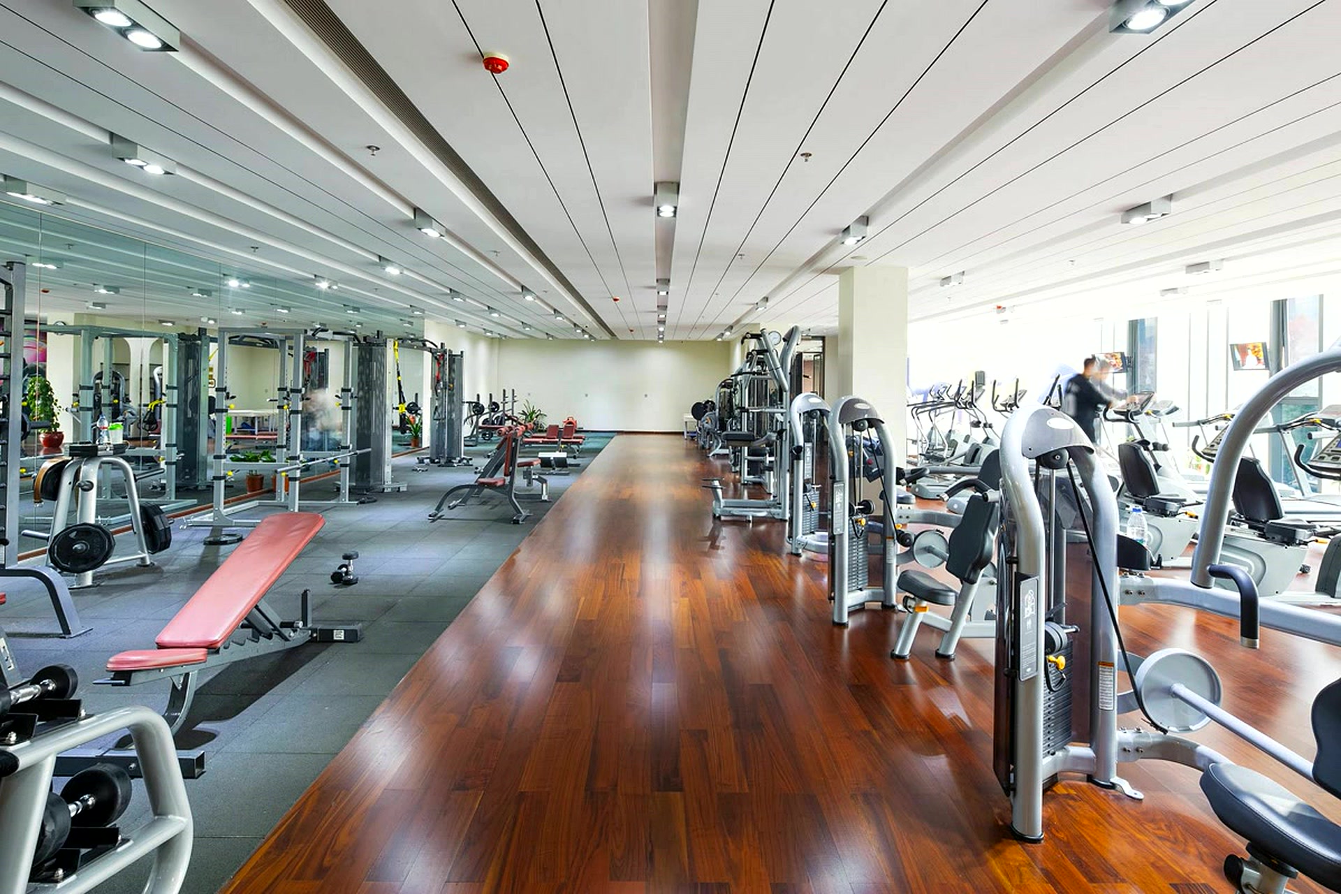 Professional gym facility