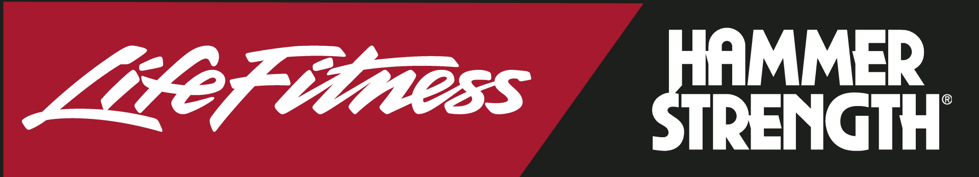 Life Fitness / Hammer Strength logo
