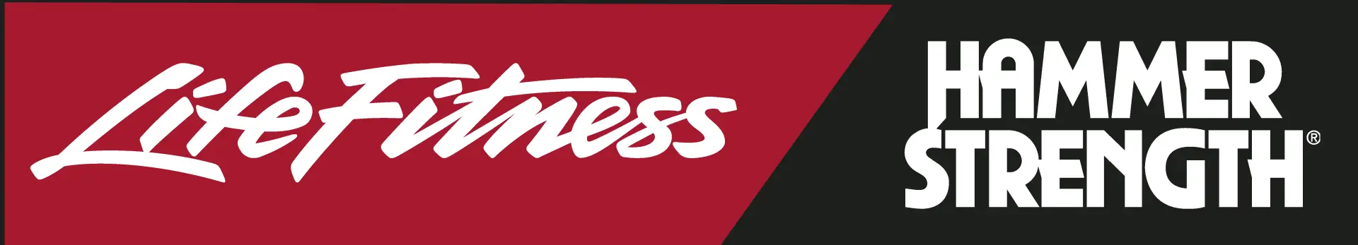 Life Fitness logo